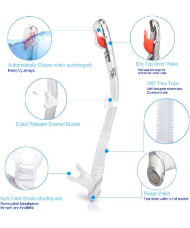 EXP VISION Dry Snorkel - Adult Dive Snorkel with Food-Grade Silicone Mouthpiece and Splash Guard Top Valve - Silver - Buy Online on SooperMarket.com