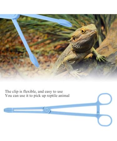 Reptile Feeding Clip Blue Plastic Durable Useful Pet Clip for Snake Lizard Reptile Animal Food 7.48in - Buy Online on SooperMarket.com