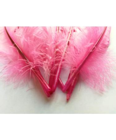 50pcs Pink Rooster Coque Tail Feathers 13-16 Inches - Hat Costume & Craft Decoration - Buy Online on SooperMarket.com