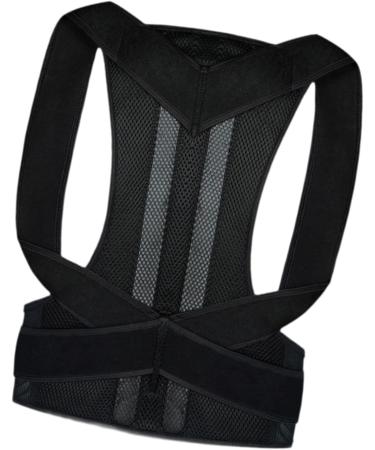 Oshhni Back Brace Lumbar Support Back Correction Belt for Family Adults Teens Women Men L - Buy Online on SooperMarket.com