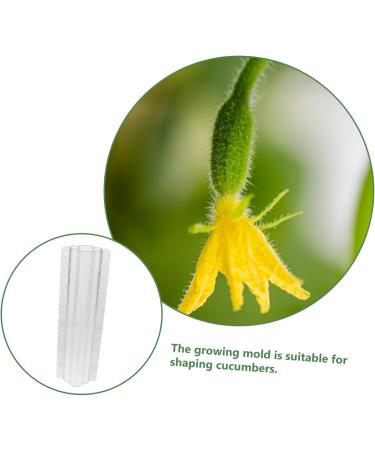 CIYODO 2pcs Vegetable Shaping Mold Cucumbers Cucumber Growing Mould Vegetable Growing Mold Accessories - Buy Online on SooperMarket.com