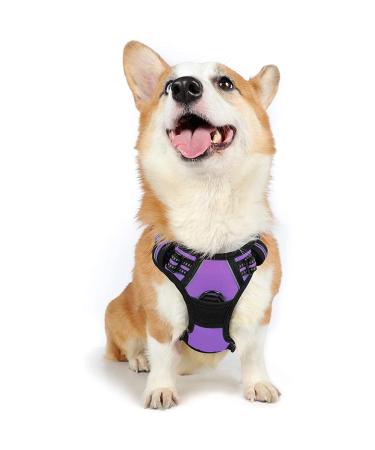 Rabbitgoo dog harness medium -sized dogs anti train crockery dog with control no pull adjustable dog dishes large dogs breathable reflex stripes breast harness dog safe guidance purple m (1 Pack) purple