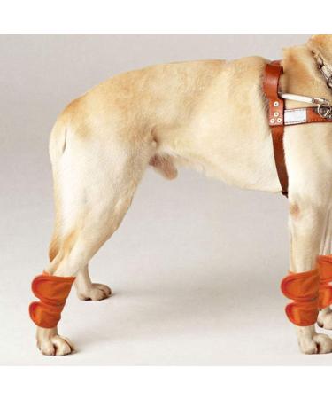 2Pcs Adjustable Dog Cat Leg Brace Elastic Warm Knee Pads for Surgery Wound Support and Stability for Injury Recovery Prevent Licking (Orange) - Buy Online on SooperMarket.com