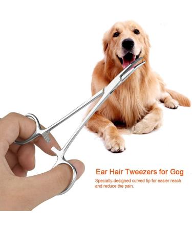 Hemostat Zonge Stainless Steel Pet Ear Cleaning Scissors - Curved Pointed Anti-Slide Tool for Dogs & Cats - Buy Online on SooperMarket.com