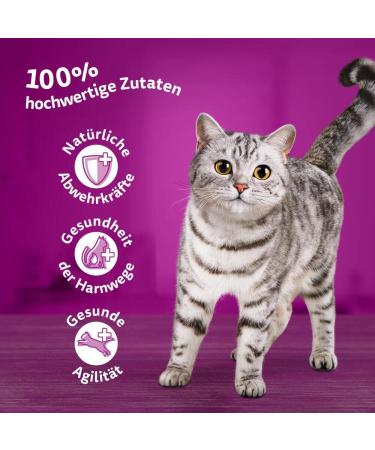 Whiskas 7+ Cat Food Poultry in Sauce - High-Quality Wet Food for Cats 7 Years & Older - 28 x 85g Portion Bags - Buy Online on SooperMarket.com