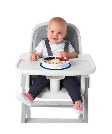 OXO Tot Stick & Stay Suction Divided Plate | Navy Blue | Best Child-Friendly Dinnerware for Easy Mealtime - Buy Online on SooperMarket.com