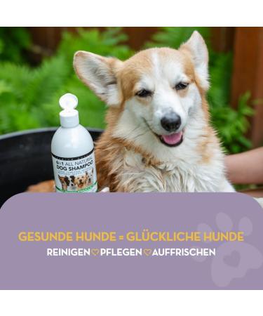 Healthy Dog Co 6-in-1 Natural Dog Shampoo & Conditioner - Odor Control Gentle & Moisturizing for Long Hair - 500ml Puppy Shampoo - Buy Online on SooperMarket.com