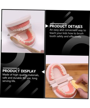Shop Minkissy 3 Sets Early Education Tooth Toys for Toddlers - Montessori Standard Reusable Kids' Dental Learning Toys - Buy Online on SooperMarket.com