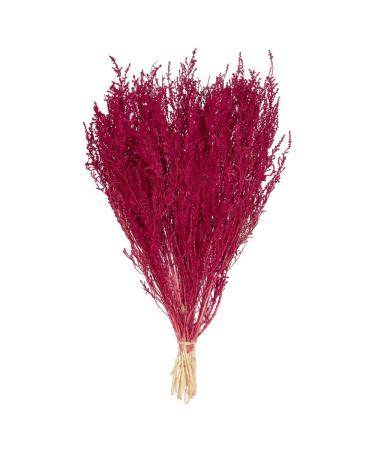 Vickerman 14-18" Raspberry Stoebe Bundle. Comes 3.5 oz per Bundle.