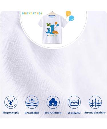 AMZTM 1st Boy Dinosaur Birthday Shirt for Toddler Baby - First Birthday Outfit - Size 90 White - Buy Online on SooperMarket.com