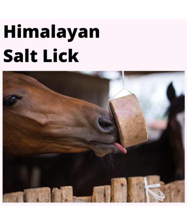 2x Himalayan Pink Salt Compressed Lick - Horse Cow Sheep Animal - 6kg each - Buy Online on SooperMarket.com