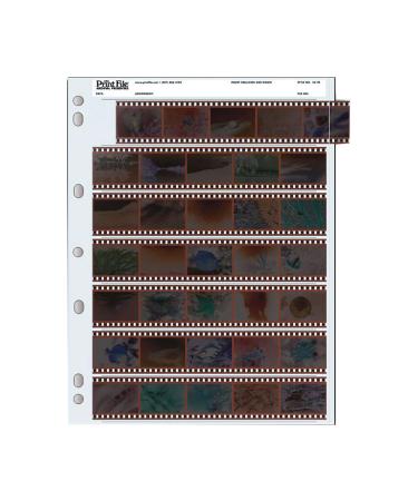 Archival 35mm Size Negative Pages Holds Seven Strips of Five Frames - 100 Pack 1 Pack