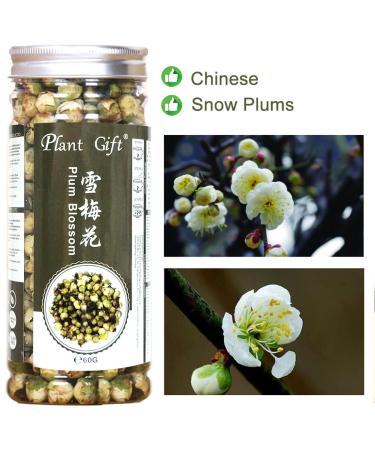 Buy Organic Snow Plum Blossom Tea | Anti-Aging Dried Flowers Tea - 60g - Buy Online on SooperMarket.com
