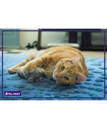 FELIWAY CLASSIC Diffuser Refill 3-Pack - Use with FELIWAY Cat Diffusers - Comforts Cats at Home & Helps Control Unwanted Urine Spraying Cat Scratching and Hiding (90 Day Supply FELIWAY Refill C238) - Buy Online on SooperMarket.com