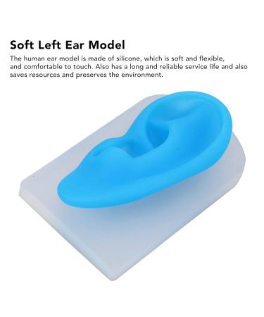 Silicone Left Ear Piercing Model - Flexible & Durable Teaching Tool with Transparent Base - Buy Online on SooperMarket.com