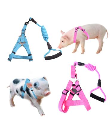 Woyous animal dishes size M pink and blue 2-part adjustable dishes with leash set for small pigs dogs rabbits walking running and playing medium pink / blue