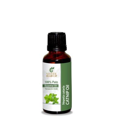 Catnip Oil (Nepeta Cataria) Essential Oil 100% Pure Natural Undiluted Uncut Therapeutic Grade Oil 0.16 Fl.OZ