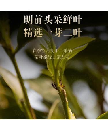 Pu-erh tea 2016 Yibang 357g Raw - Buy Online on SooperMarket.com