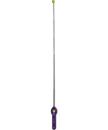 Karen Pryor Clicker Training Clik Stik - Terry Ryan Pet Training Tool (Purple) | International Shipping Available - Buy Online on SooperMarket.com