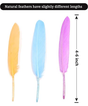 FeelfunFeather 240pcs Macaron Goose Cochettes Feathers 4-6 inch Bulk Natural - Wedding Party Halloween DIY Crafts - Buy Online on SooperMarket.com