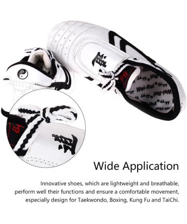 Buy Breathable Non-Slip Taekwondo Shoes for Men & Women | Lightweight Sports Boxing & Kung Fu Footwear (Size 43) - International Shipping - Buy Online on SooperMarket.com
