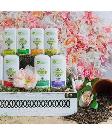 Stinkbug Naturals Unscented All Natural Deodorant - 2.1 Ounce - Buy Online on SooperMarket.com