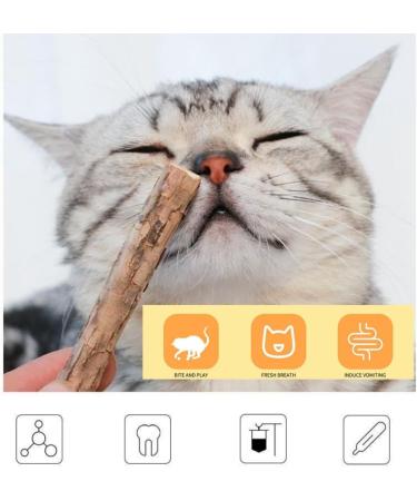 Buy Matatabi Cat Mint Sticks - 40 Pieces for Dental Care | Catnip Toys for Cats - Buy Online on SooperMarket.com