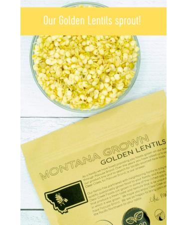 Montana Whole Golden Lentils | 4 lb Resealable Bags | Non-GMO | Kosher | Vegan | Non-Irradiated (Will Sprout) | Yellow Lentils 4 Pound (Pack of 1) - Buy Online on SooperMarket.com