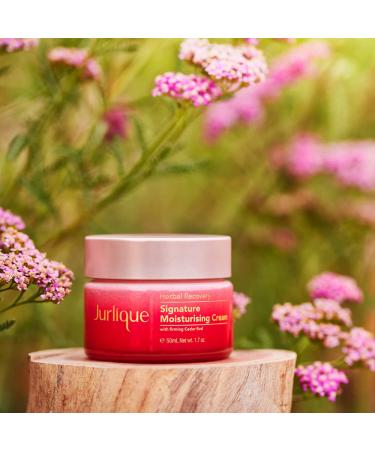 Jurlique Herbal Recovery Signature Face Cream | Moisturizing Facial Moisturizer - Buy Online on SooperMarket.com