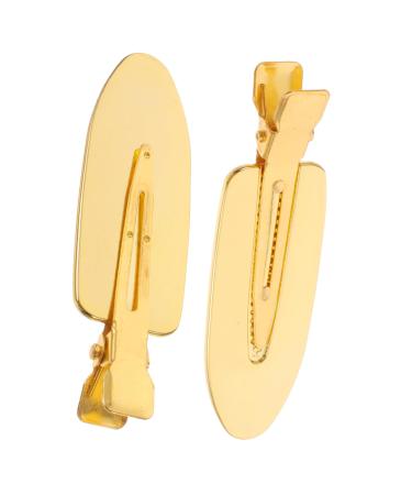 Didiseaon 1 Pair Practical Hairpins Bobby Pins Bang Clips Hairdressing Clips Hair Styling Clamps