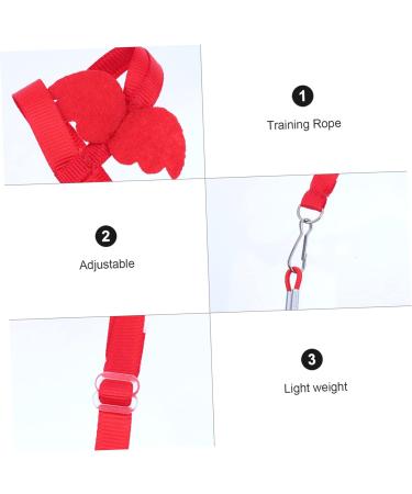 Hohopeti 2pcs Parrot Flying Rope African Grey Leash Pet Harness Flight Leashes Nylon Adjustable Bird Leash Pet Parrot Harness Bird Harness Leash Adjustable Bird Flying Harness S Assorted Color - Buy Online on SooperMarket.com