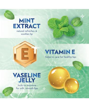 Vaseline Lip Therapy Mint with Backer Card - Hydrating Lip Balm - Buy Online on SooperMarket.com
