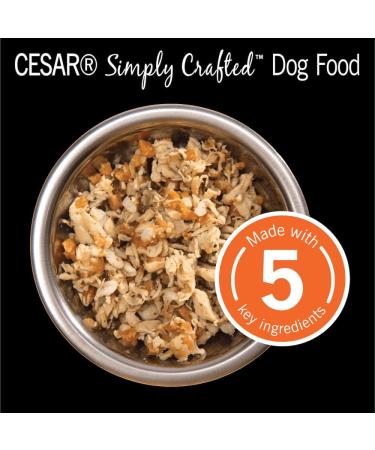 Cesar Simply Crafted Adult Wet Dog Food Chicken Sweet Potato Apple Barley & Spinach 37g Pack of 10 - Buy Online on SooperMarket.com