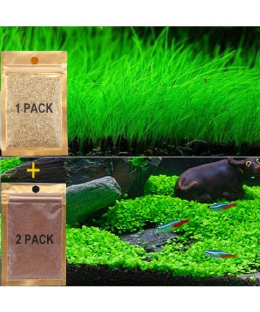 Aquarium Plants Seeds, Live Aquarium Grass Seeds for Fish Tank Freshwater, Fast Growing Aquarium Carpet Seeds Mini Leaf & Hair Grass Small Pearl