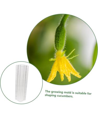 Milisten Garden Fruit Mould 2pcs Vegetable Shaping Mold Cucumbers Cucumber Shaping Mold Vegetable Shaper Mold Planting Supplies - Buy Online on SooperMarket.com