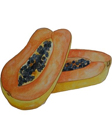 Epoch Sole Solution - Best Treatment for Dry Cracked Feet | Fast International Shipping - Buy Online on SooperMarket.com