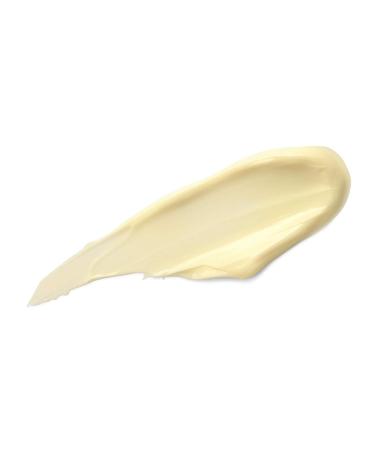 DHC CoQ10 Neck Cream - Firming & Toning Moisturizer for Neck & Decolletage | Antioxidant-Rich, Fragrance-Free | 1.2 oz - Buy Online on SooperMarket.com