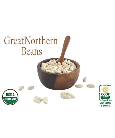 Organic Great Northern Beans  Raw  non GMO  Vegan  Bulk (10LB) Organic Great Northern Bean 10 Pound - Buy Online on SooperMarket.com