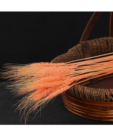 25pcs Colorful Natural Dried Flowers Bouquet Wheat Plants Bunches New Year Craft Wedding Chrismas Decor Decoration Beige 25pcs - Buy Online on SooperMarket.com