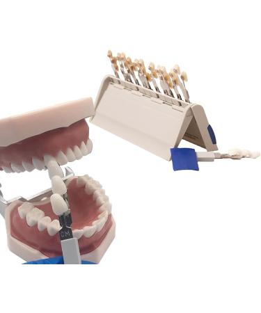 Teeth Shade Guide - 29 Color Whitening Chart for Perfect Smile | Removable Tooth Bleaching Guide - Buy Online on SooperMarket.com