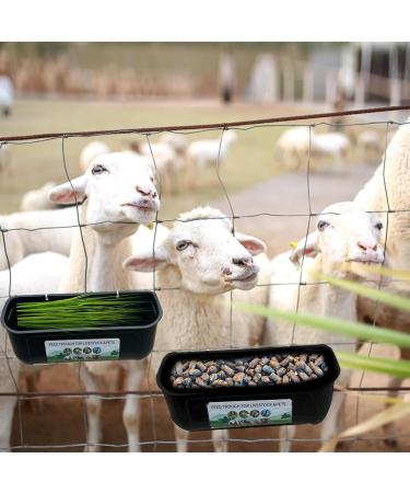 GIISH 2 Pack Chicken Goat Hanging Fence Feeder Black ABS for Deer Duck Dog and Piglets Goose Waterer Trough - Buy Online on SooperMarket.com