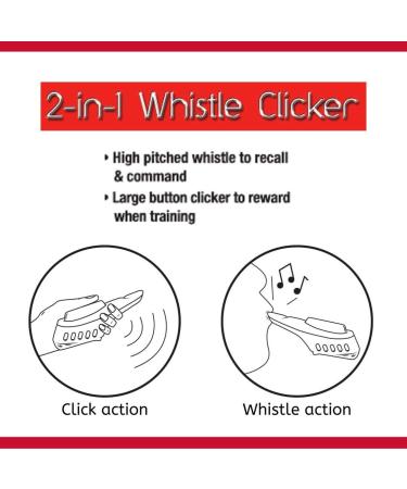 Mikki 2-in-1 High Pitched Whistle Clicker for Dog Training | Recall & Command Aid with Neck Strap | Lightweight 31g - Buy Online on SooperMarket.com