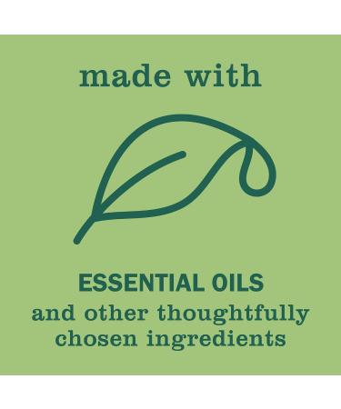 Mrs. Meyer's Clean Day Iowa Pine Liquid Hand & Dish Soap Set - Eco-Friendly 12.5 OZ & 16 OZ - International Shipping Available - Buy Online on SooperMarket.com