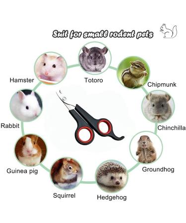 Professional Rabbit Nail Clippers: Stainless Steel Claw Trimmer for Small Animals - Guinea Pig, Ferret, Hamsters, Chinchilla, Sugar Glider - Grooming Supplies - Black - Buy Online on SooperMarket.com