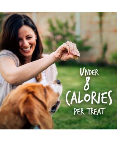 Fruitables Baked Dog Treats - Healthy Pumpkin & Blueberry Snacks | Low-Calorie, Wheat, Corn & Soy Free | 7 Oz - Buy Online on SooperMarket.com