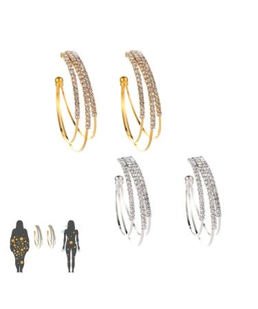 New Lymphatic Earrings for Women Weight Loss Magnetic Earrings for Weight Loss Women Lymphvity Magnetic Therapy Earrings (2PCS-B)