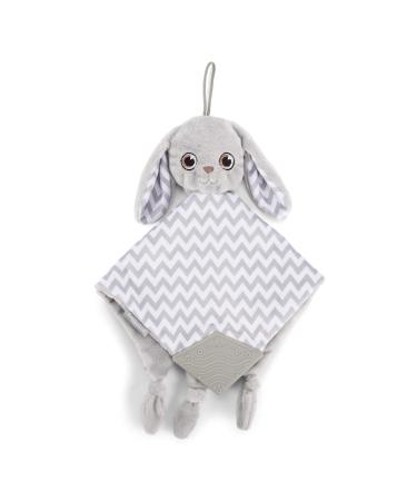 Baby Blanket for Babies 2-in-1 Newborn Stuffed Animal and Blanket Soft and Plush Pacipal Baby Blankets Bunny/Rabbit