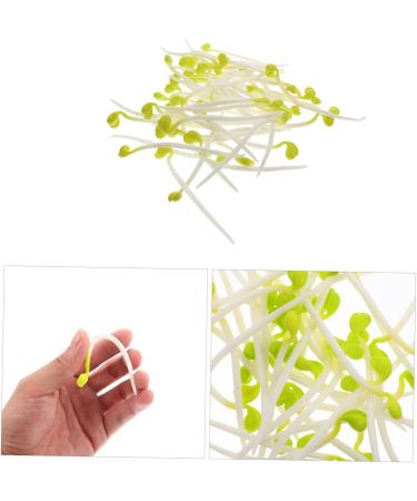 Alipis 100 Pcs Bean Sprouts Toy Small Plant Lifelike Bean Sprout Decoration for Home Faux Plants Delicate Bean Sprout Food Decor Wedding Decor Fruit Toys Pvc Artificial Household Products - Buy Online on SooperMarket.com