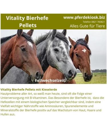 Brewer's Yeast Pellets for Horses - Vitality Supplement with Silica Vitamin B | 1000g - Enhance Coat Health & Performance - Buy Online on SooperMarket.com