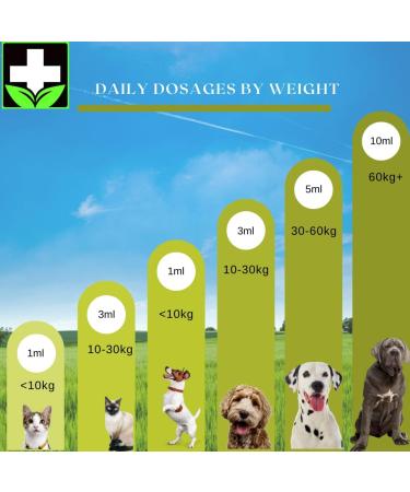 Pet Hemp Oil 225 000 Mg (8 oz) Extra Strength Formula - Peanut Butter Flavoured - Derived Hemp Seed Oil - Hip Joint Support and Skin Coat Health Non-GMO Omega 3 6 9 Balance Oil Made in Canada - Buy Online on SooperMarket.com